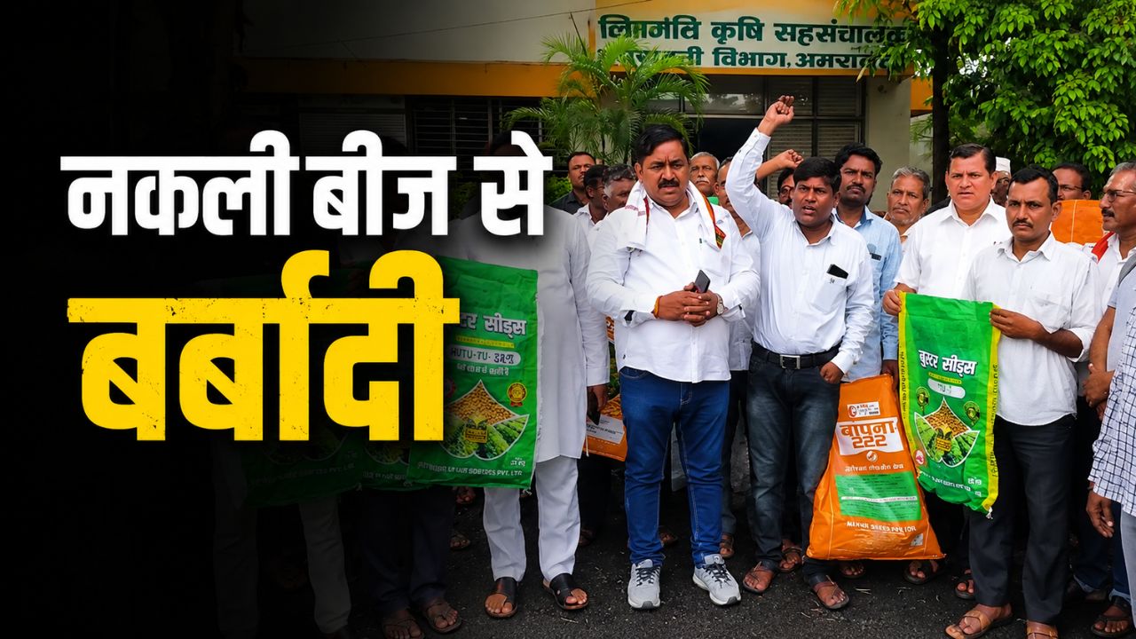 लैब टेस्टिंग में खुलासा.. कंपनी ने किसानों को फर्जी बीज बेचे, कई हजार एकड़ फसल चौपट