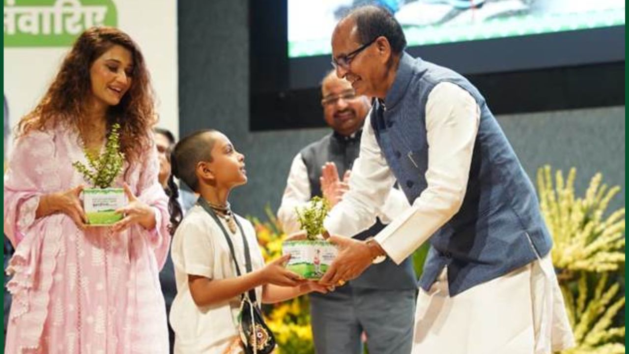 क्लाइमेंट चेंज के खतरे से पेड़ ही बचाएंगे, पौधरोपण अभियान से धरातल के बदलाव जांच रहे आईआईटी