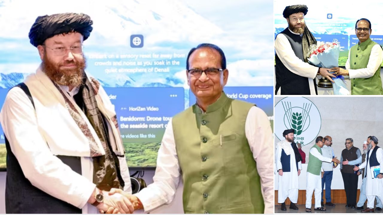 भारतीय बीजों से खेती करेगा अफगानिस्तान, पशुपालन, सिंचाई और कृषि तकनीकी मदद मांगी