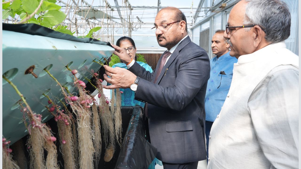 आलू फसल पर पिछेता झुलसा बीमारी का खतरा, CPRI ने किसानों को दवा छिड़काव का तरीका बताया आलू फसल पर पिछेता झुलसा बीमारी का खतरा, CPRI ने किसानों को दवा छिड़काव का तरीका बताया