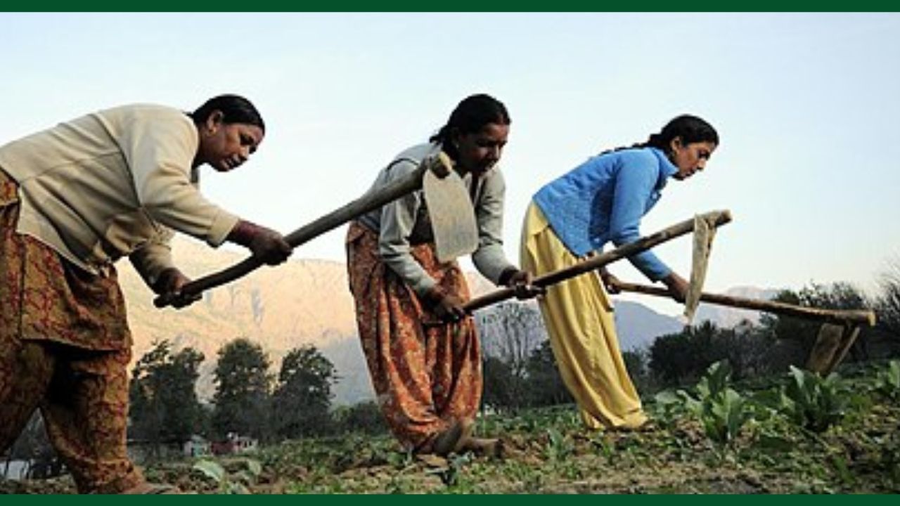 एग्री सेक्टर में ट्रेंड युवाओं की भारी कमी बनी मुसीबत, मॉडर्न खेती में शिफ्टिंग टाइम ज्यादा लग रहा एग्री सेक्टर में ट्रेंड युवाओं की भारी कमी बनी मुसीबत, मॉडर्न खेती में शिफ्टिंग टाइम ज्यादा लग रहा