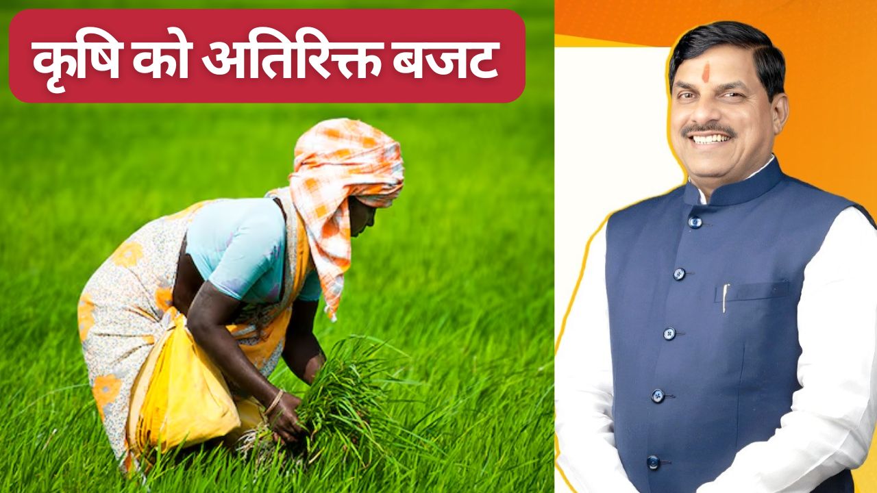 अनुपूरक बजट : कृषि पर 3000 करोड़ और खर्च होंगे, भावांतर योजना और कपास मिशन को मिलेगा फंड