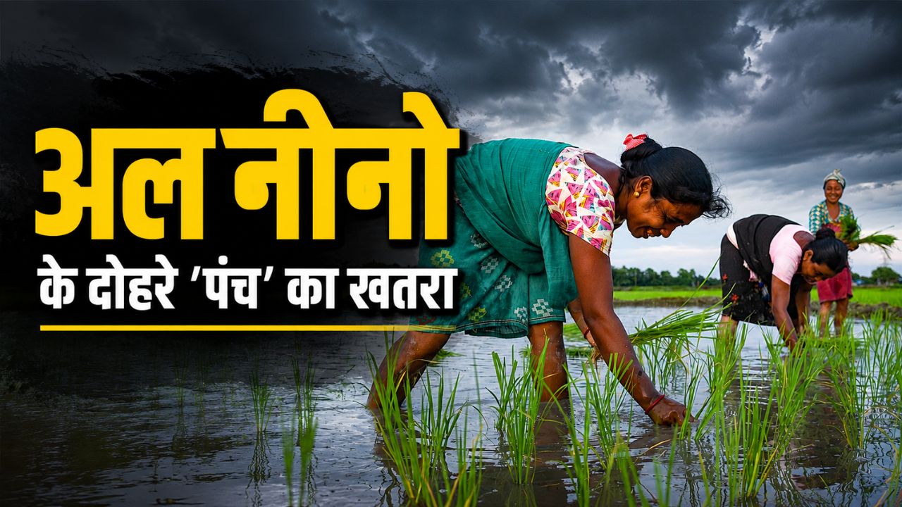 अगस्त में खेती को भारी पड़ सकता है अल-नीनो का असर, किसानों को सूखा संकट की चेतावनी