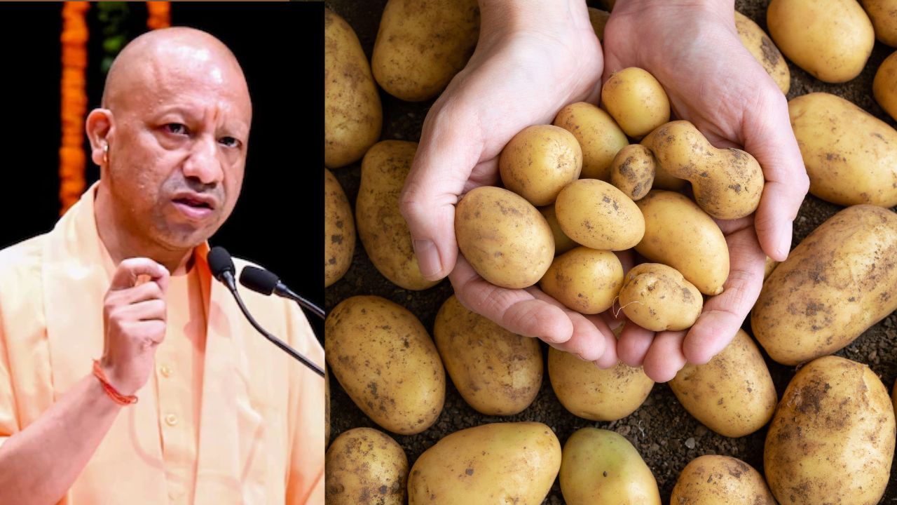 अंतरष्ट्रीय पोटैटो सेंटर की सुस्त रफ्तार ने बढ़ाई टेंशन, किसानों के प्रोजेक्ट में देरी पर बरसे सीएम योगी अंतरष्ट्रीय पोटैटो सेंटर की सुस्त रफ्तार ने बढ़ाई टेंशन, किसानों के प्रोजेक्ट में देरी पर बरसे सीएम योगी