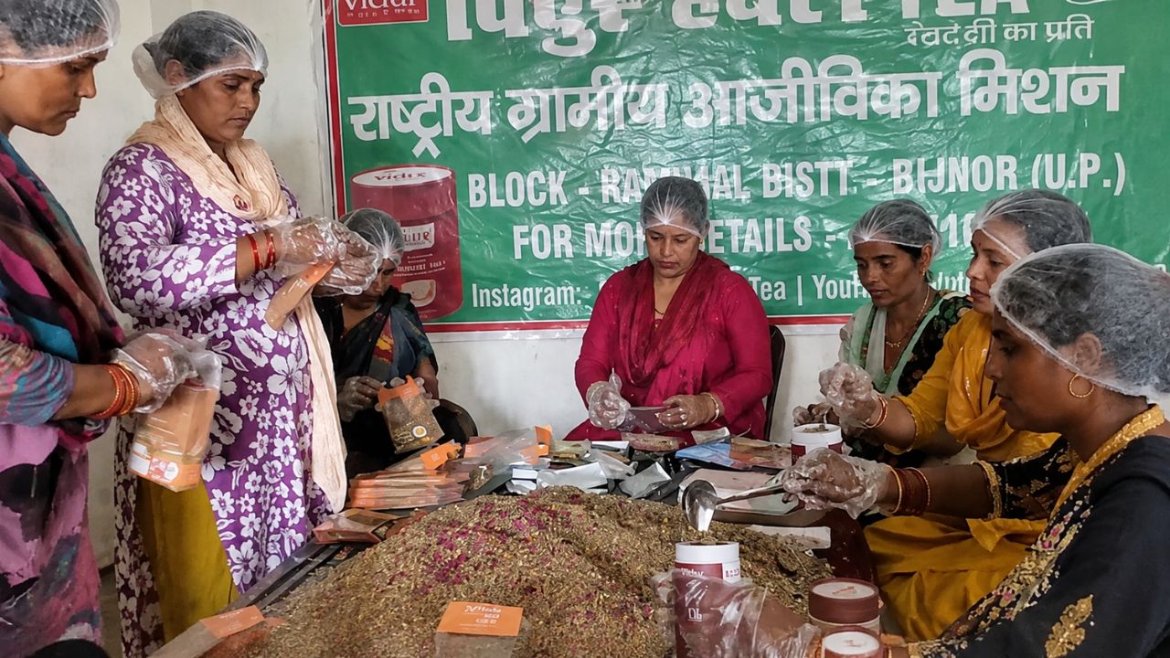 एक लाख के लोन से शुरू हुआ हर्बल चाय कारोबार देशभर में पहुंचा, 10 ग्रामीण महिलाओं का कमाल एक लाख के लोन से शुरू हुआ हर्बल चाय कारोबार देशभर में पहुंचा, 10 ग्रामीण महिलाओं का कमाल