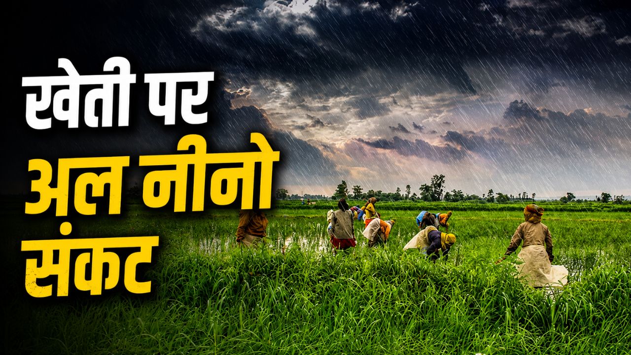 अल नीनो के असर का आकलन करेगा एडवाइजरी पैनल, खेती-किसानी पर बुरे असर की चिंता  