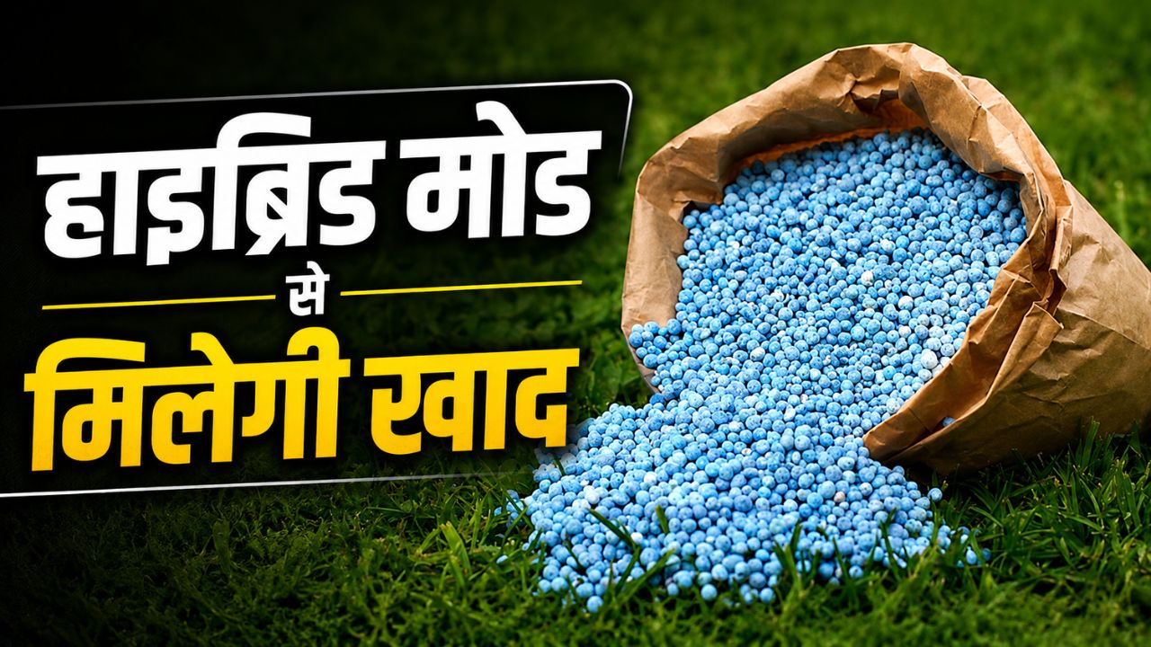 किसानों के आंदोलन का असर, MP में खाद वितरण नियम बदले, हाइब्रिड मोड अपनाएंगे विक्रेता