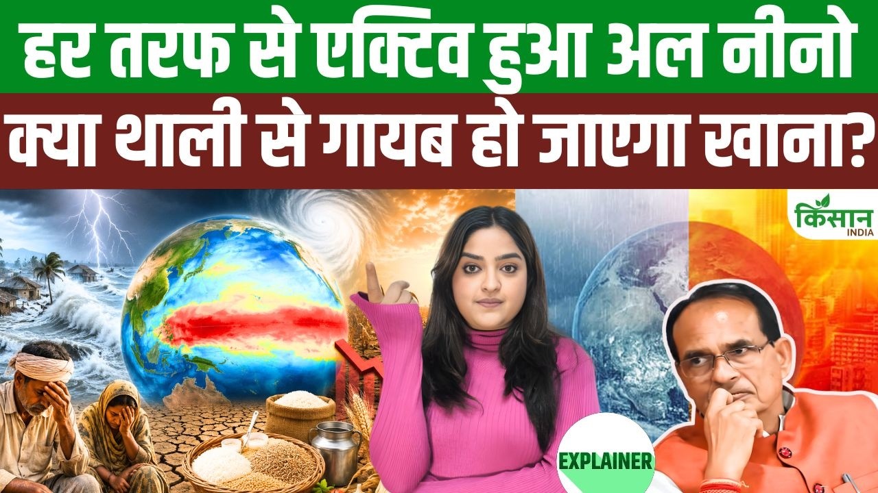 अल नीनो का बड़ा खतरा, कम बारिश से किसानों की बढ़ेगी मुश्किलें और रसोई का बजट भी बिगड़ सकता है
