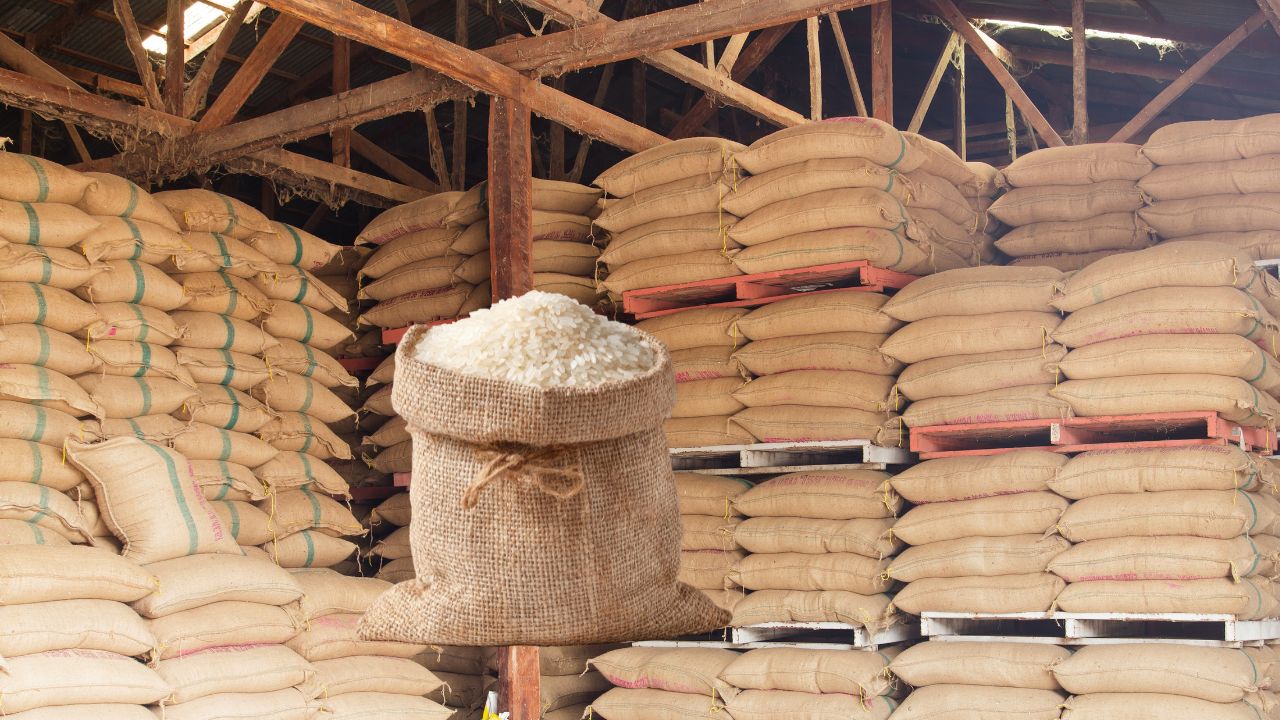 PDS चावल बिक्री घोटाला! FCI के 5 अफसर निलंबित, कार्यकारी निदेशक पर भी गिरी गाज