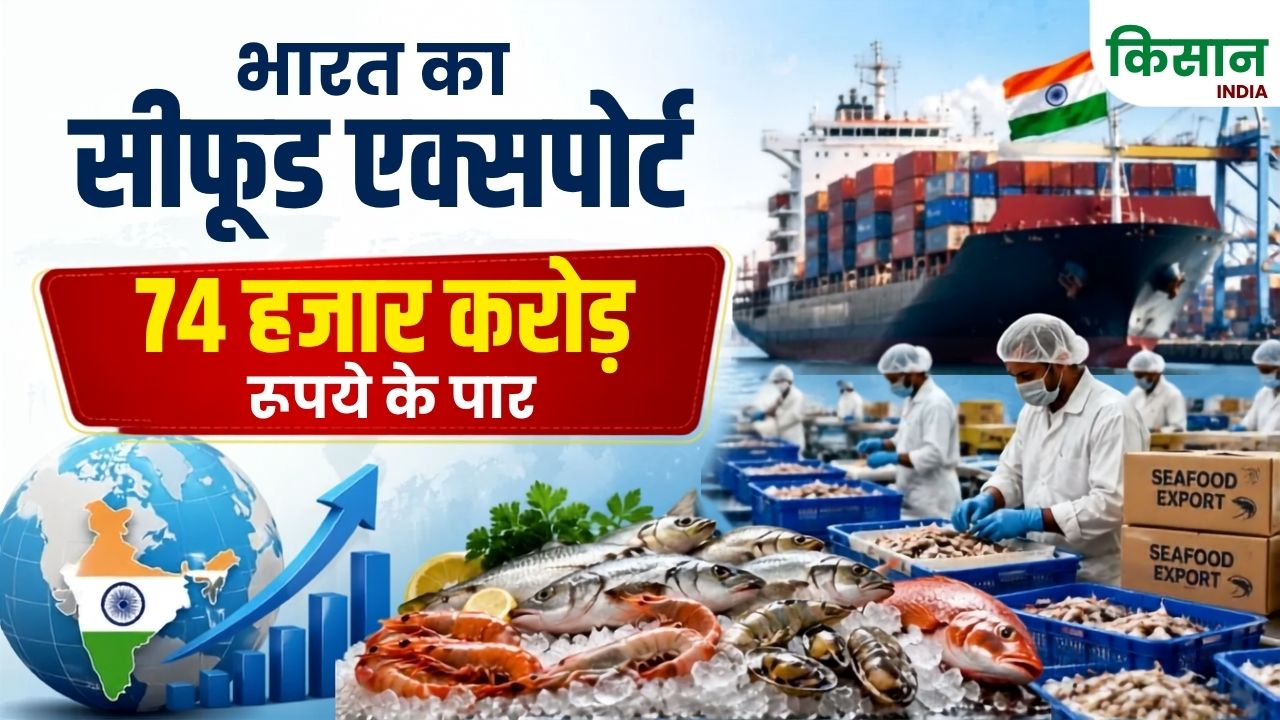 दुनिया में बढ़ी भारतीय सीफूड की मांग, 74 हजार करोड़ रुपये के पार पहुंचा निर्यात, झींगा बना सबसे बड़ा हीरो