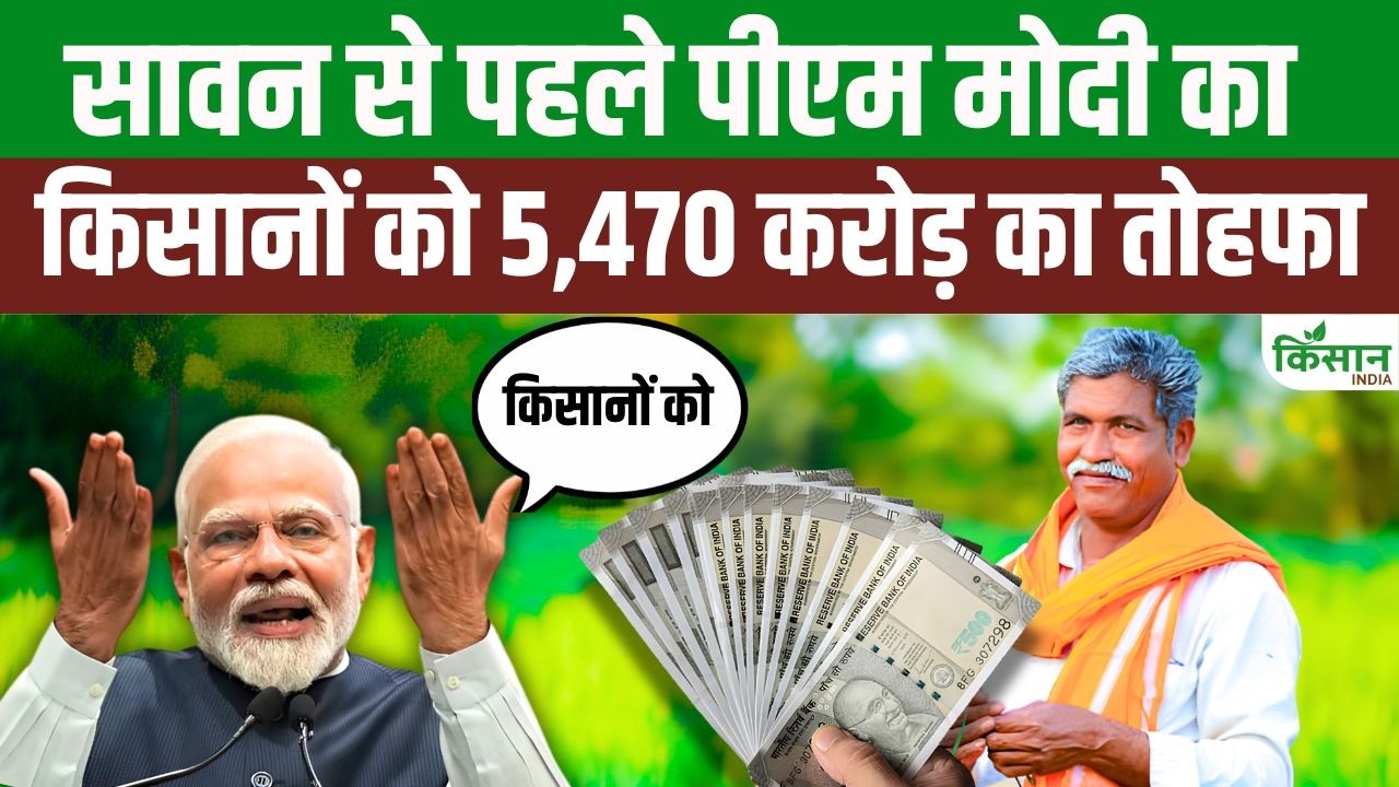 जालंधर पहुंचे PM मोदी, किसानों को 5470 करोड़ की सौगात.. गैंगवार पर भी दिया बड़ा बयान