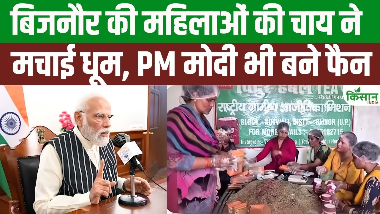 PM Modi ने की Bijnor की महिलाओं की तारीफ, हर्बल टी ने जीता ‘मन की बात’ में दिल