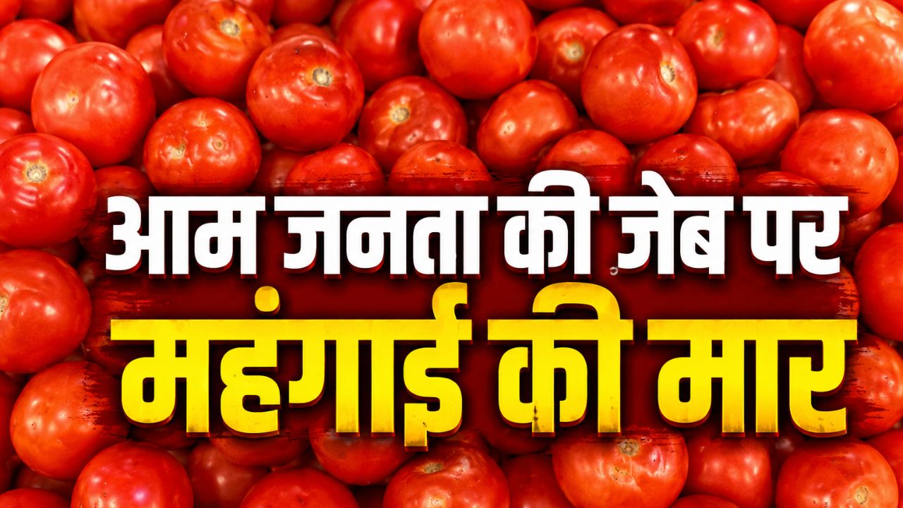 Mandi Bhav: मानसून की दस्तक के साथ जयपुर में टमाटर महंगा, 100 रुपये किलो हुई कीमत