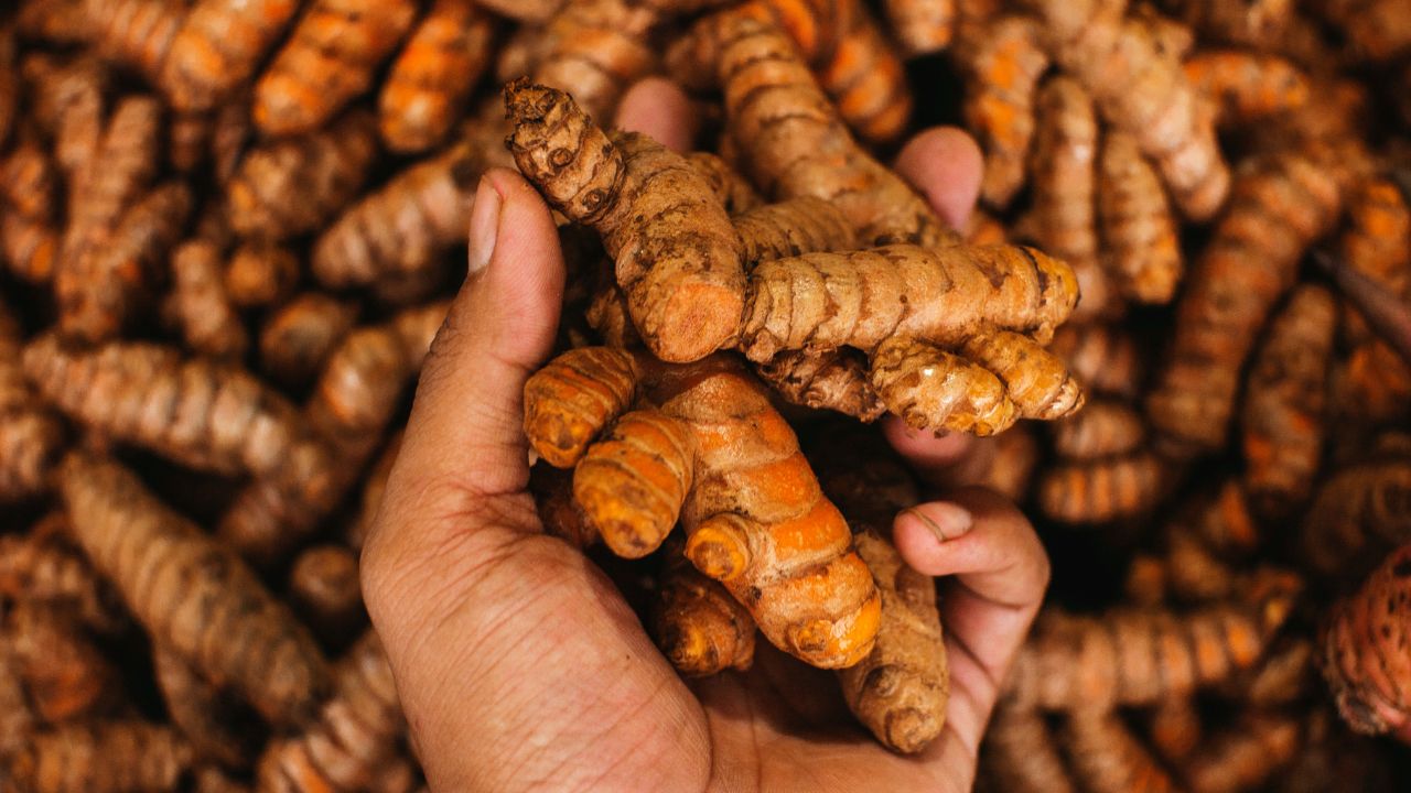 Mandi Rate: सूखे की आशंका से चढ़े हल्दी के दाम, इरोड बाजार में 20 हजार रुपये क्विंटल हुआ भाव Mandi Rate: सूखे की आशंका से चढ़े हल्दी के दाम, इरोड बाजार में 20 हजार रुपये क्विंटल हुआ भाव