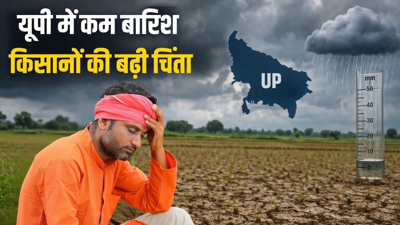 यूपी में 25 फीसदी कम बारिश से बढ़ी किसानों की चिंता, धान की रोपाई और खरीफ फसलों पर संकट