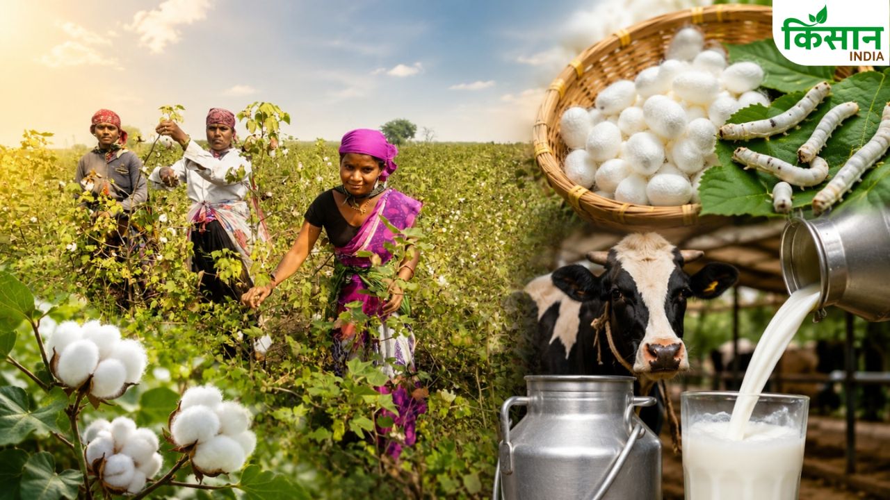 रेशम और दूध से अब एक साथ होगी कमाई! राज्य की नई योजना बदल सकती है किसानों की किस्मत