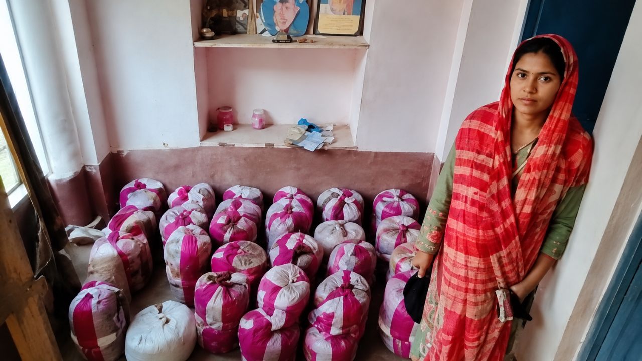 मशरूम की खेती से बदली किस्मत! भागलपुर की राजलक्ष्मी ने हर साल कमाए 2 लाख रुपये