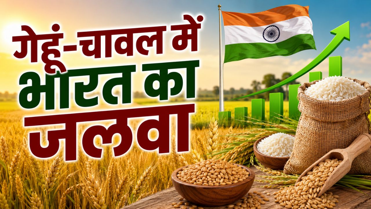 USDA Report: भारत का गेहूं उत्पादन अनुमान 12.10 करोड़ टन, चावल पैदावार मजबूत रहने की उम्मीद USDA Report: भारत का गेहूं उत्पादन अनुमान 12.10 करोड़ टन, चावल पैदावार मजबूत रहने की उम्मीद