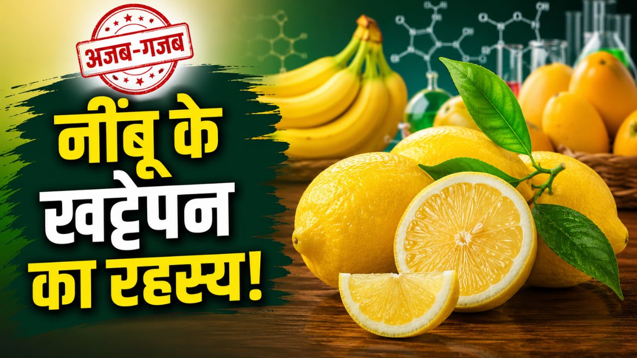 आम-केला हो जाते हैं मीठे, फिर नींबू क्यों रह जाता है खट्टा? वैज्ञानिक ने खोला बड़ा राज