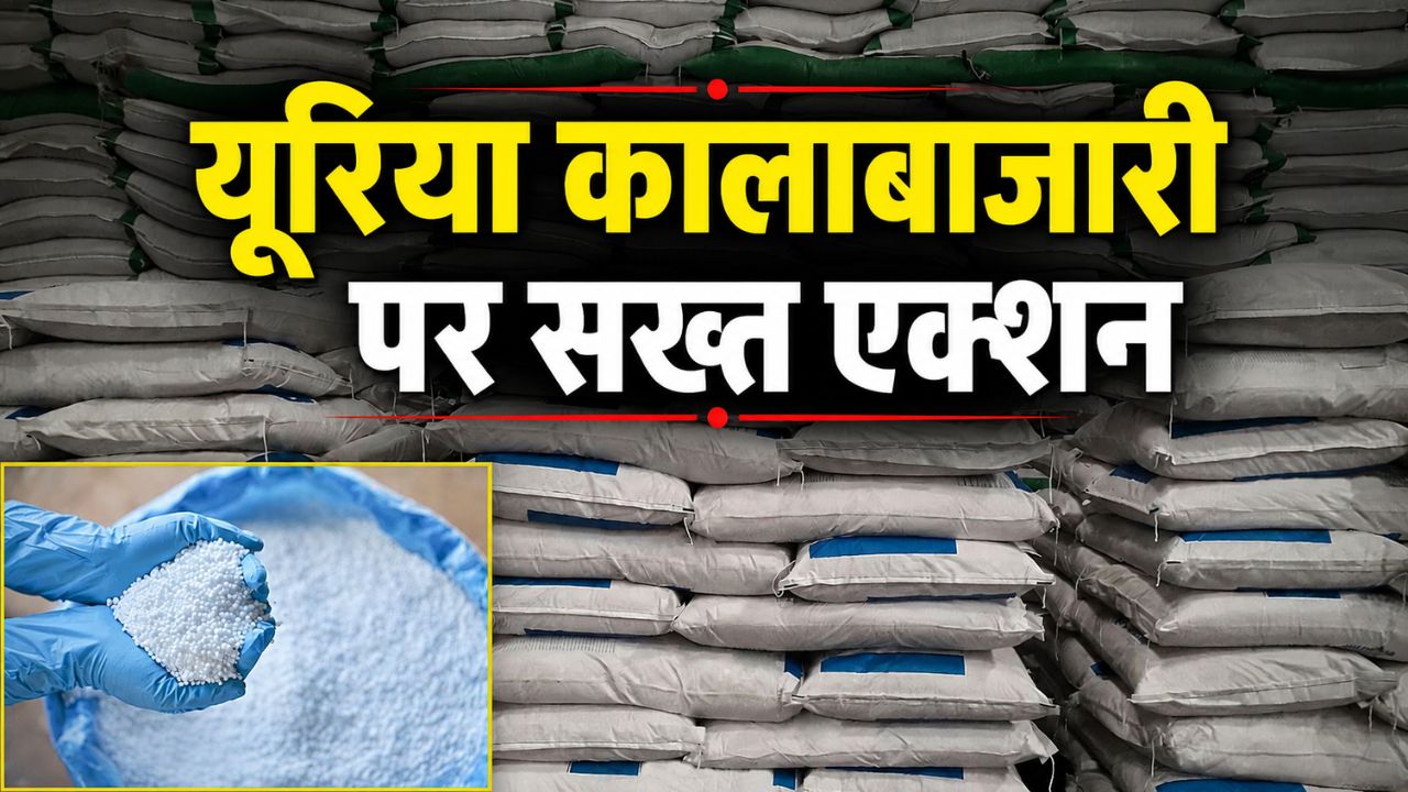 यूरिया के काले कारोबार का खुलासा, पुलिस ने जब्त की 60 टन खाद.. अब तेज हुई जांच