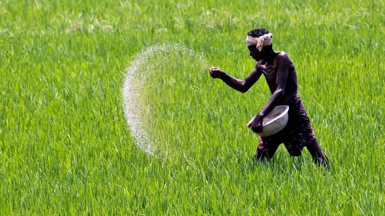 यूरिया हेराफेरी मामले में पंजाब सरकार की सख्त कार्रवाई, दो कंपनियों के खिलाफ केस दर्ज.. ऐसे खुला राज