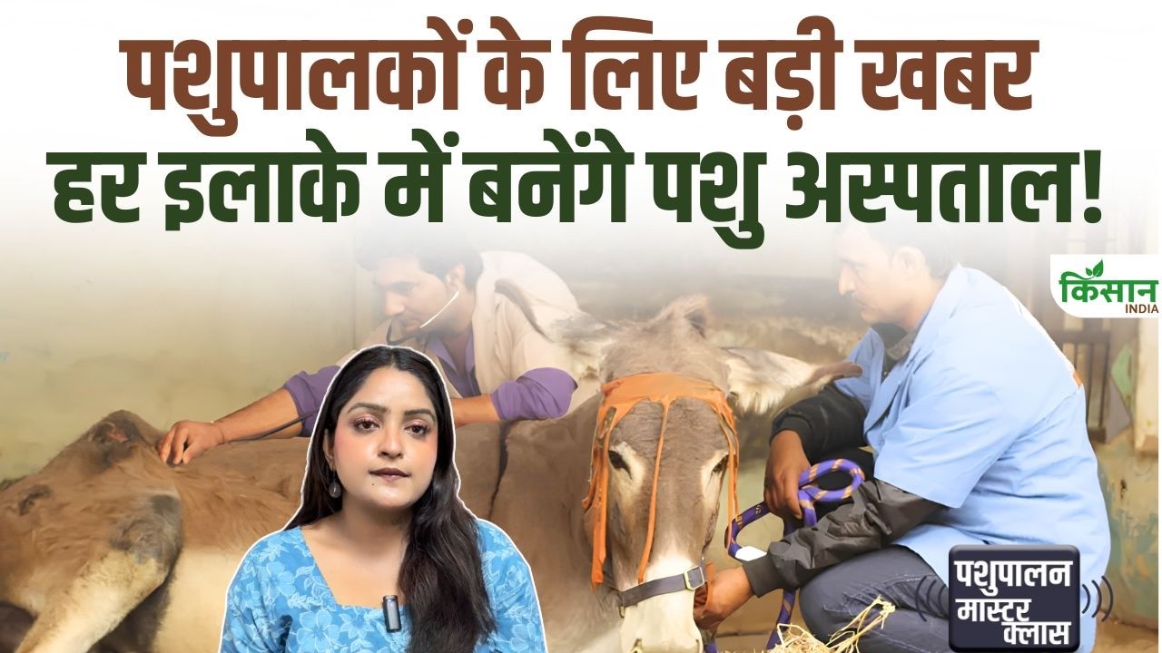 अब पशुओं का इलाज भी हाईटेक! UP में खुलेंगे आधुनिक Animal Hospital, मिलेंगी एडवांस सुविधाएं