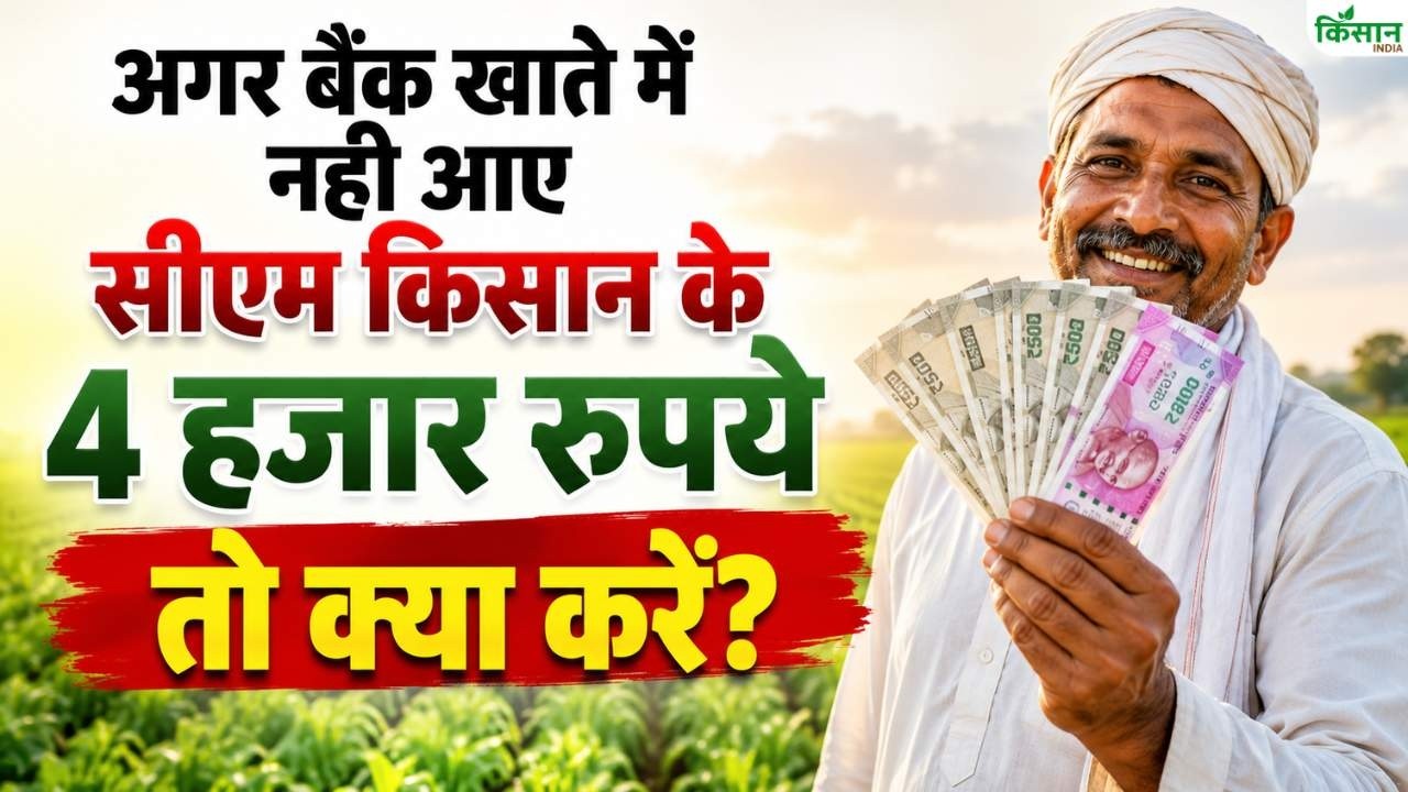 CM किसान योजना बड़ा अपडेट! 4000 रुपये नहीं मिले तो तुरंत करें ये जरूरी काम CM किसान योजना बड़ा अपडेट! 4000 रुपये नहीं मिले तो तुरंत करें ये जरूरी काम
