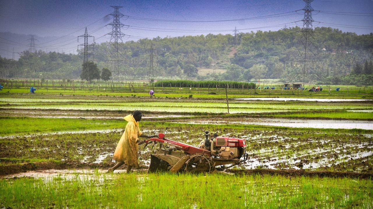 23 राज्यों में गरज-चमक के साथ होगी तेज बारिश, येलो अलर्ट जारी.. 90 KM की रफ्तार से चलेंगी हवाएं