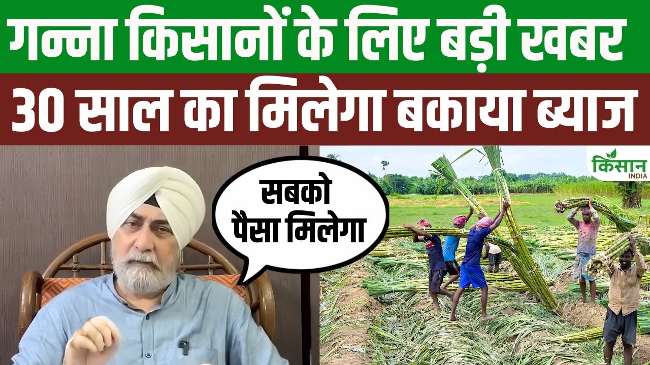 गन्ना किसानों के लिए बड़ी खुशखबरी! 30 साल पुराने बकाया ब्याज का मिलेगा पैसा