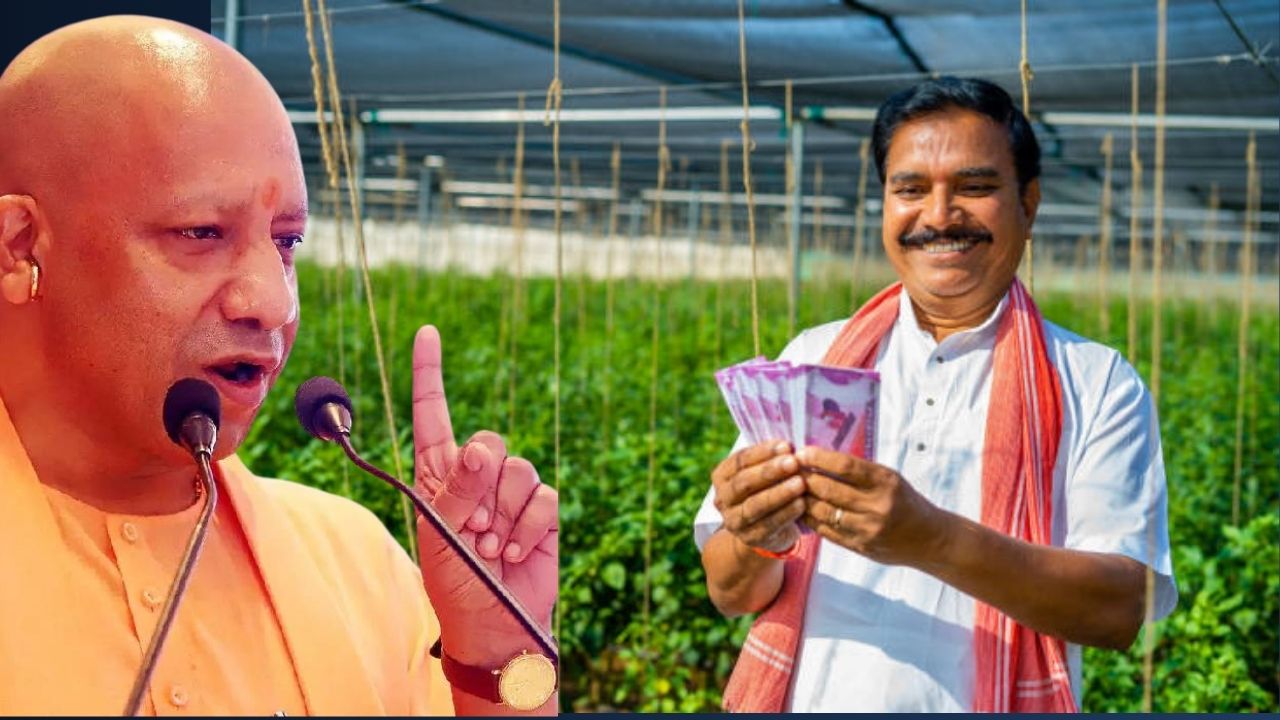 योगी सरकार की बागवानी योजना से बढ़ेगी किसानों की कमाई, ले सकते हैं 50 फीसदी तक सब्सिडी का फायदा