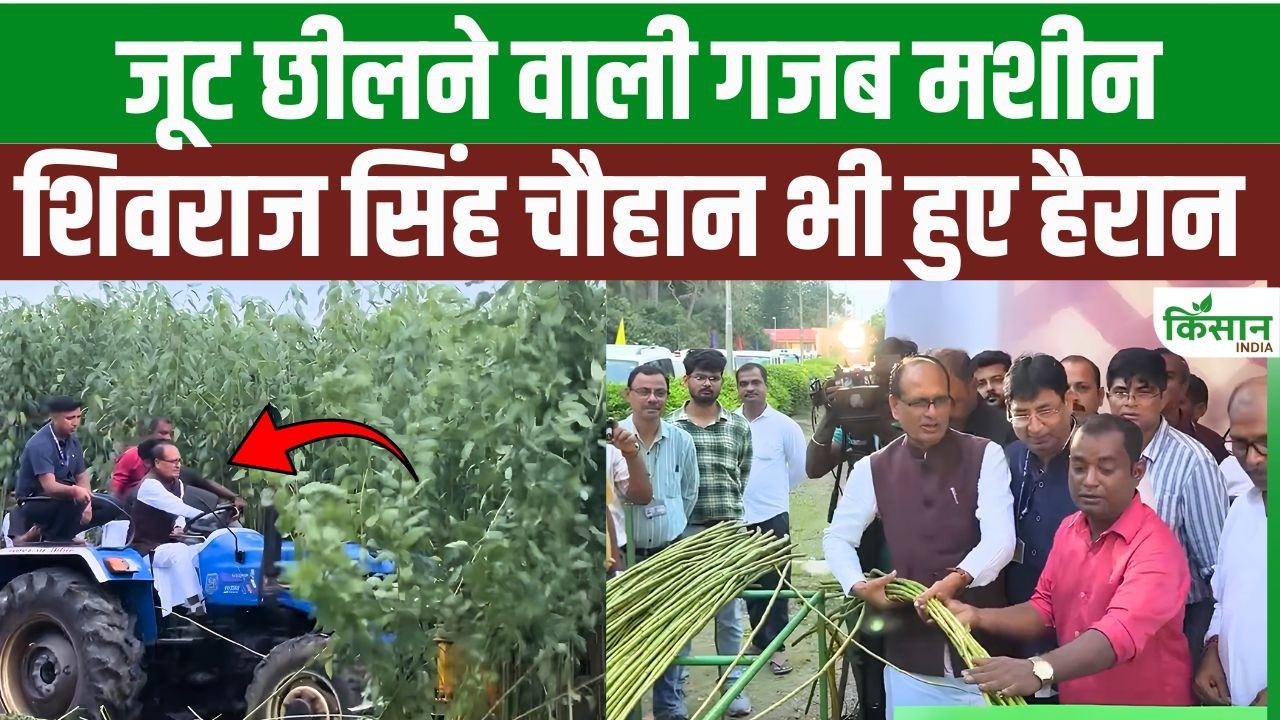 जूट की खेती में क्रांति! 25 दिन का काम सिर्फ 5 मिनट में, Shivraj Singh Chouhan ने खुद चलाई मशीन