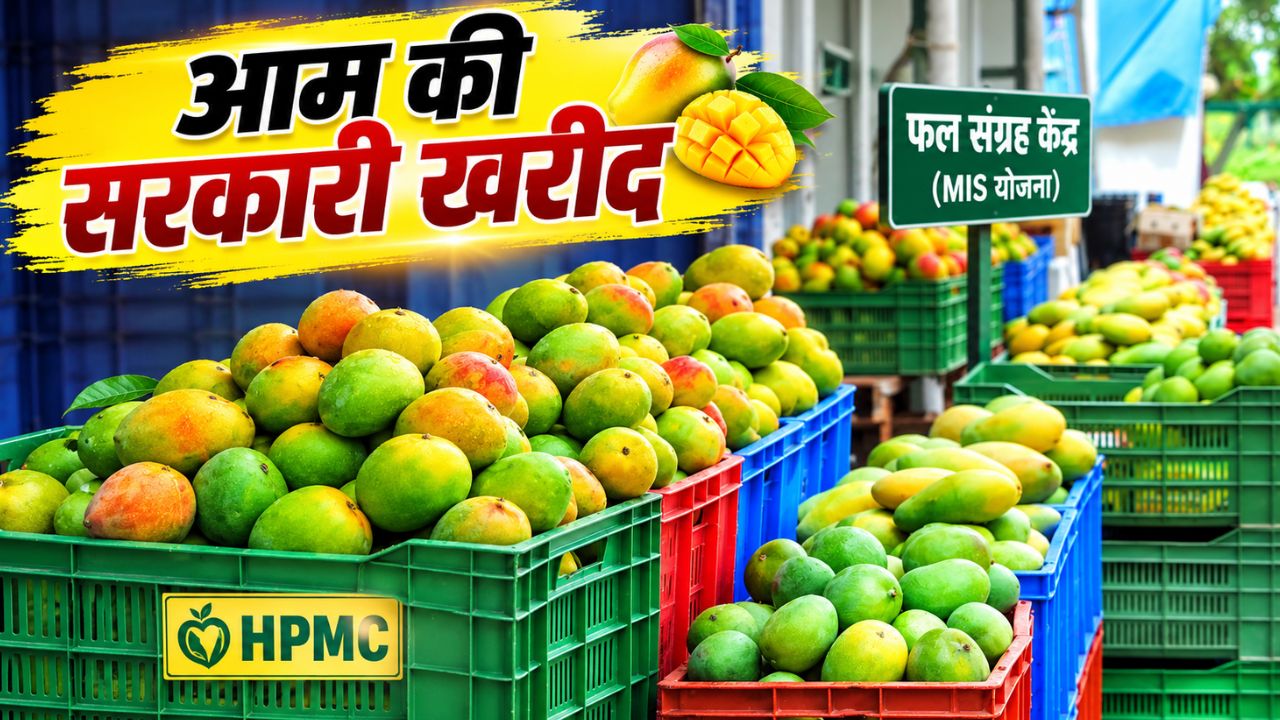 मार्केट इंटरवेंशन स्कीम को मंजूरी, अब आम-सेब खरीदेगी सरकार.. किसानों को मिलेगा बेहतर रेट