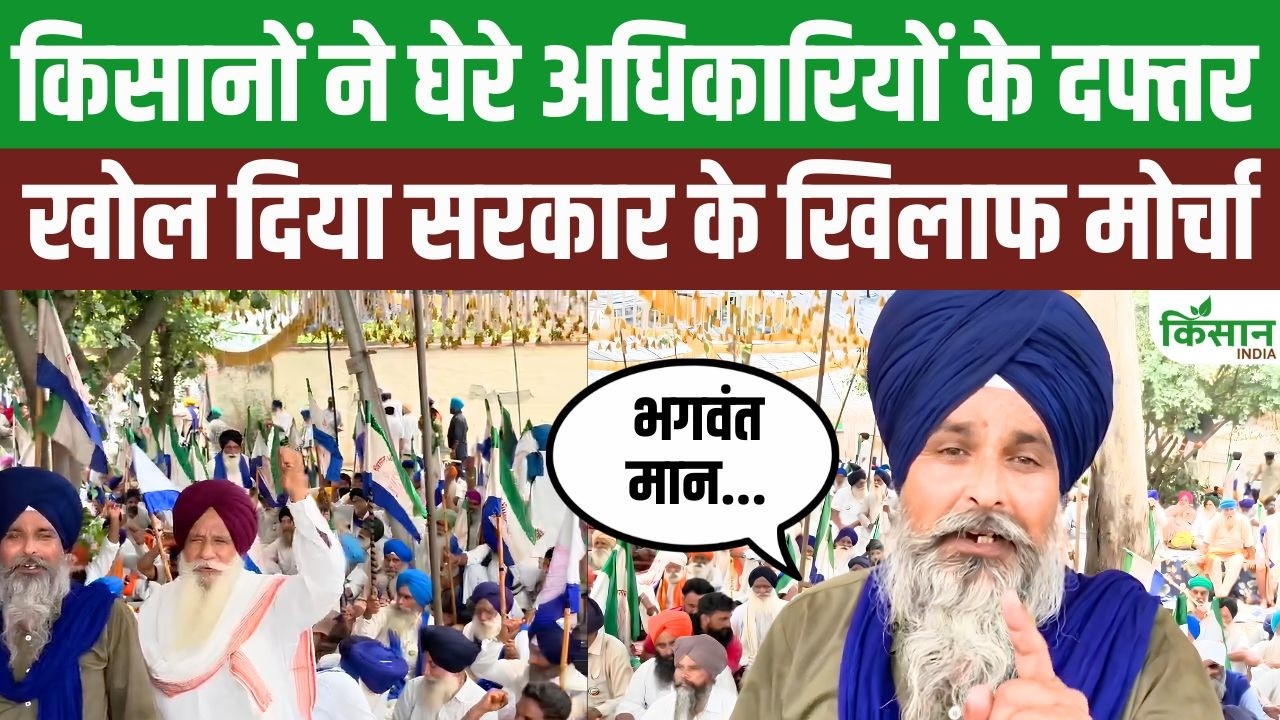 पंजाब में बड़ा आंदोलन, 17 जिलों में बिजली दफ्तरों का घेराव, सरकार को सख्त चेतावनी जारी
