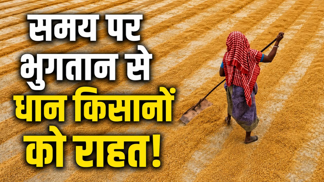 इस राज्य में रिकॉर्ड धान खरीदी..  24 घंटे में 31000 करोड़ का भुगतान..11 लाख किसान लाभांवित