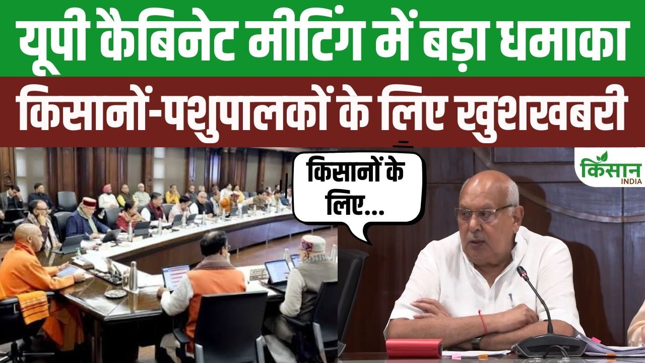 योगी कैबिनेट का बड़ा धमाका, 28 प्रस्ताव पास, किसानों और पशुपालकों के लिए कई बड़ी सौगातों का ऐलान