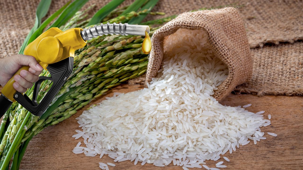 कच्चे तेल पर निर्भरता घटाने की तैयारी, इथेनॉल के लिए FCI से 72 लाख टन चावल आवंटित