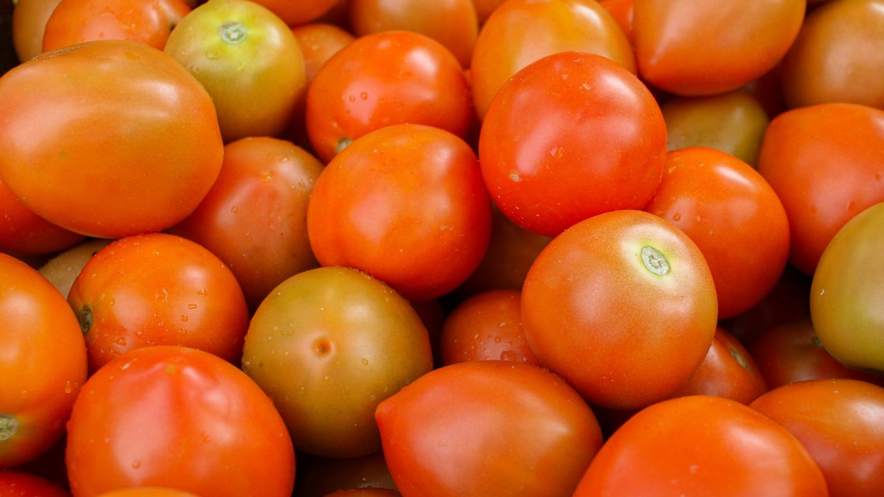 Tomato Price Fall: अचानक औंधे मुंह गिरा टमाटर, कीमत घटकर 15 रुपये किलो पहुंची