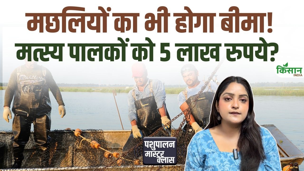 यूपी के Fish Farmers को बड़ा तोहफा! मछली पालन पर मिलेगा 5 रुपये लाख का Accident Cover