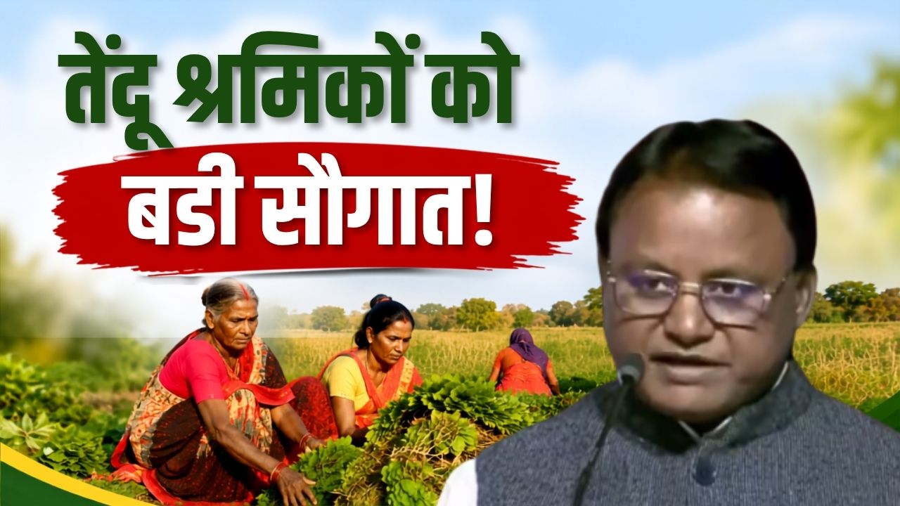 तेंदू पत्ता श्रमिकों की लगी लॉटरी.. बढ़ी मजदूरी, मिलेगा 25 फीसदी बोनस, सरकार देगी 74.78 करोड़ रुपये