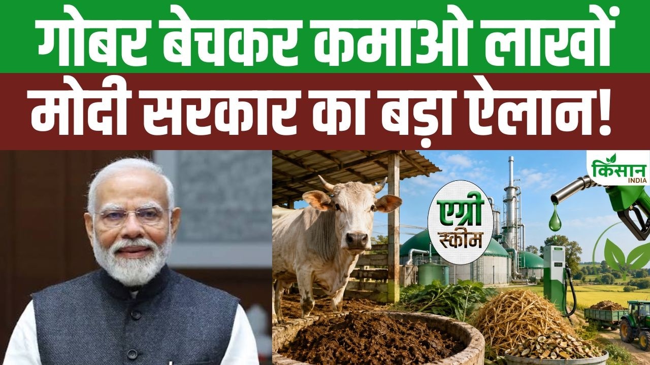 अब गोबर नहीं जाएगा बेकार! PM मोदी सरकार का बड़ा प्लान, किसानों को मिलेगा कमाई का नया रास्ता