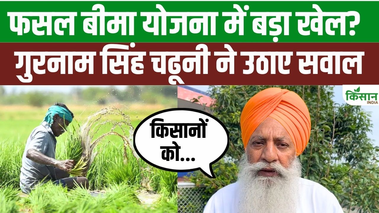 फसल बीमा पर नया विवाद! Gurnam Singh Chaduni ने OTP नियम पर उठाए सवाल, सरकार से की बड़ी मांग फसल बीमा पर नया विवाद! Gurnam Singh Chaduni ने OTP नियम पर उठाए सवाल, सरकार से की बड़ी मांग