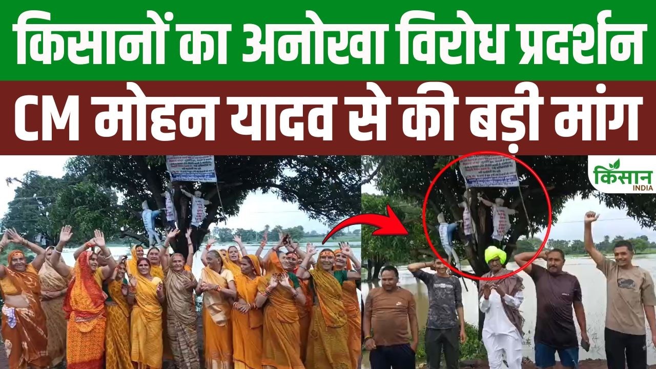 Unique Protest By Farmers In Cm Mohan State Anger Erupts Over Various Demands