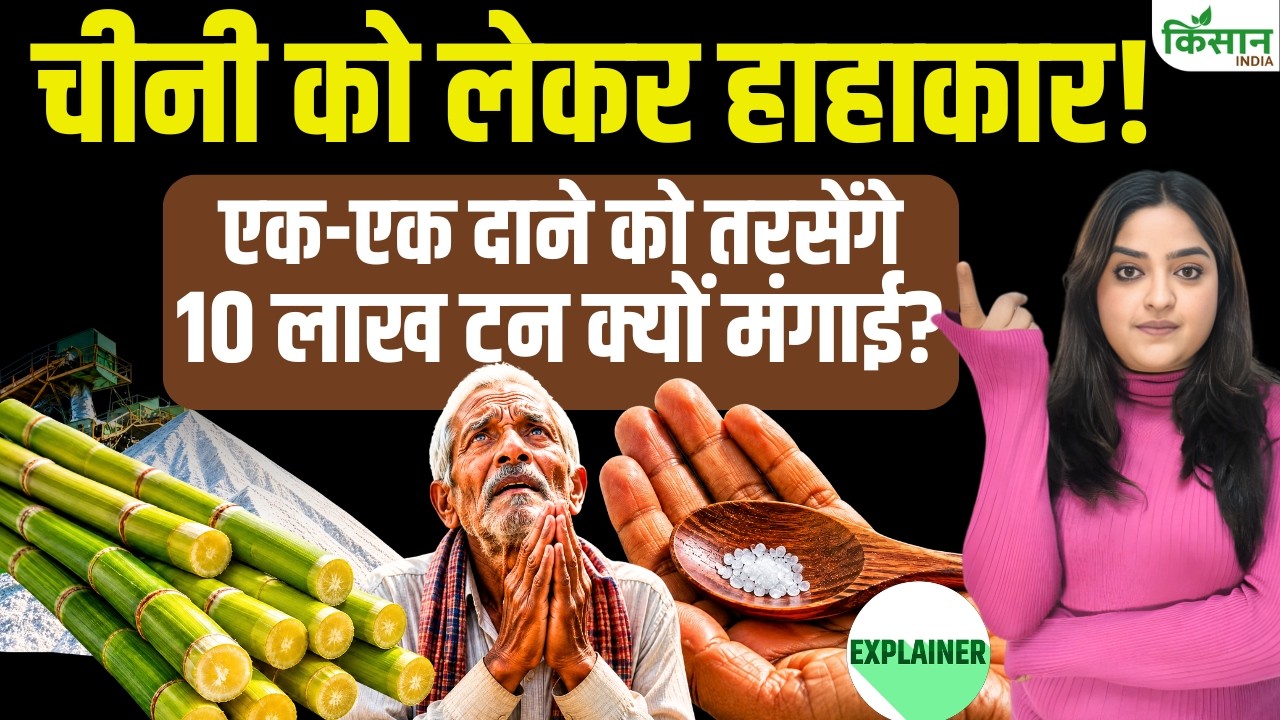 Sugar Price Hike Stock Limits Spark Panic Are Sugar Supplies About Run Out