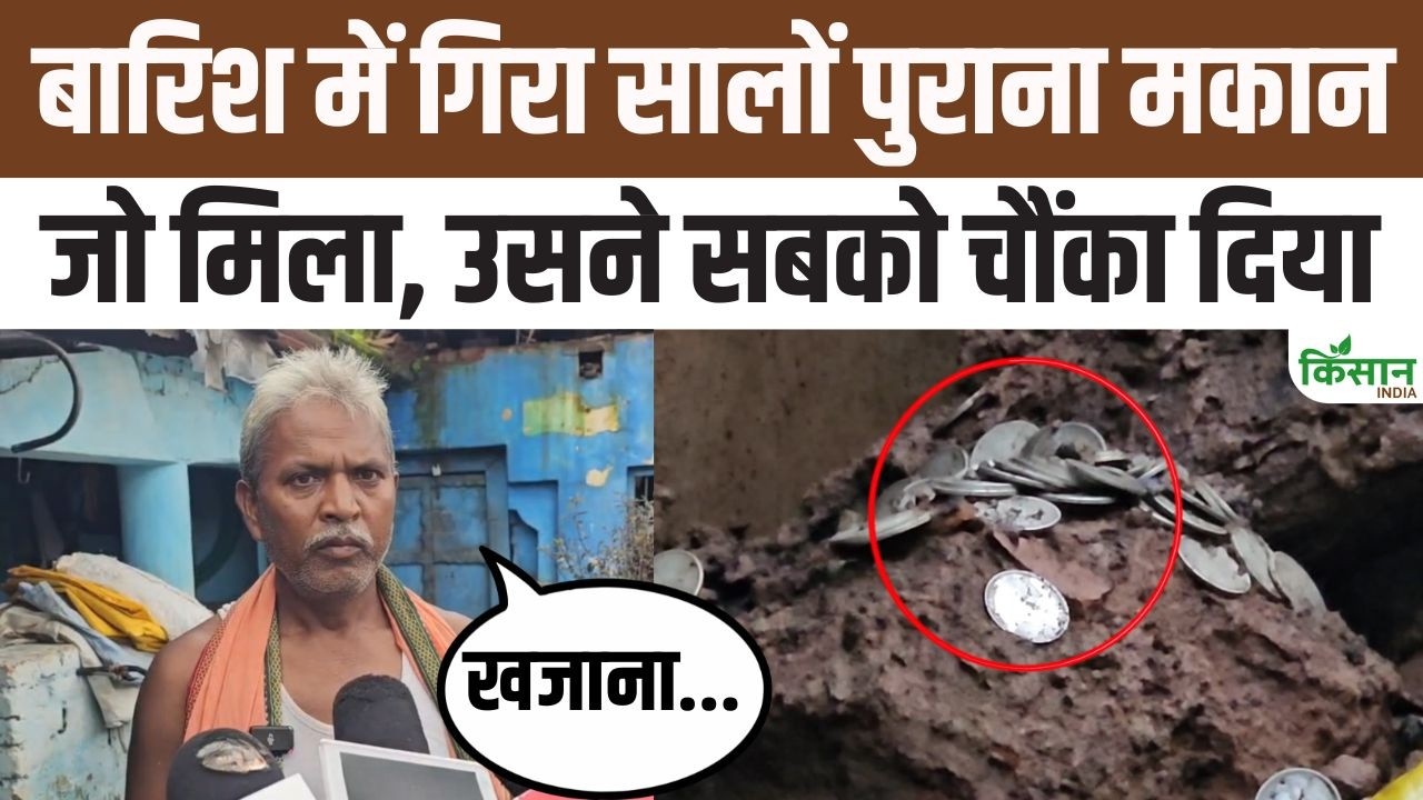 Rain Unlocks Treasure Trove For A Farmer Hundreds Of Silver Coins Found After A 200 Year Old House Collapses