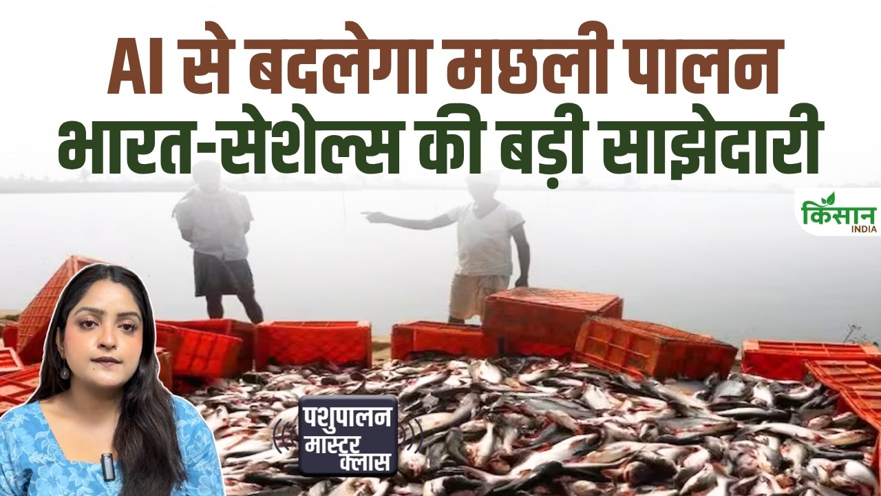 Major India Seychelles Deal Ai To Transform Fish Farming Tuna Fisheries Boost Blue Economy