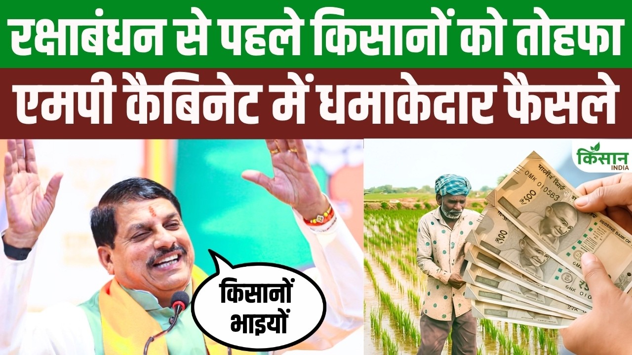 Major Decisions By Mohan Yadav Cabinet Ahead Of Rakshabandhan Gifts Farmers Ranging From Fertilizers Farmer Ids