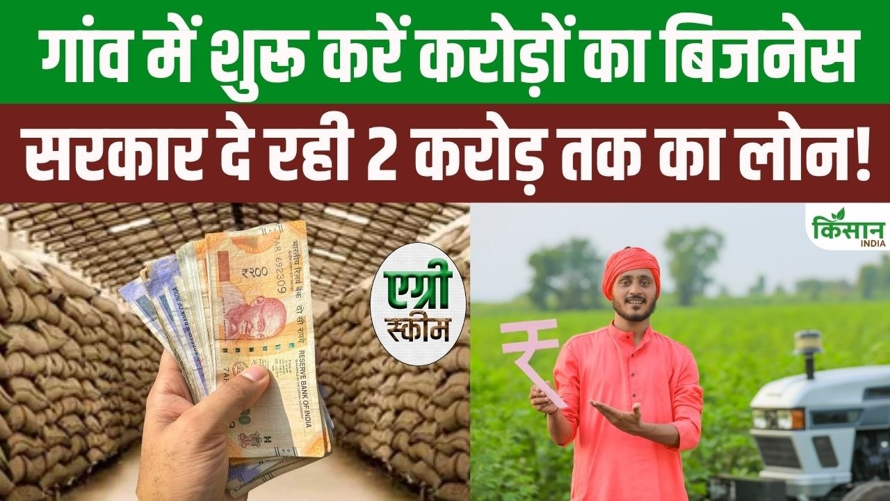 Start A Warehouse Business In Village Government Provide A Loan Of Up To 2 Crore A Fantastic Earning Opportunity