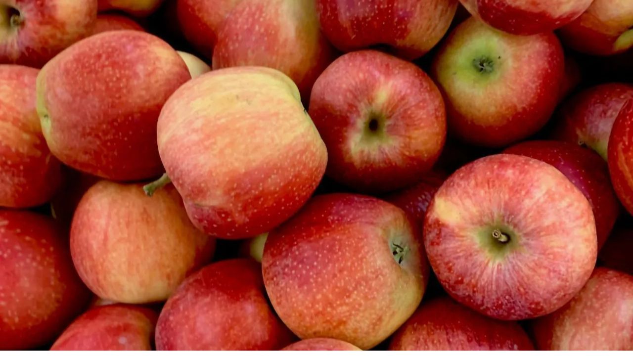 Himachal Pradesh Issues Notice To Farmers Selling More Than 100 Boxes Of Apples