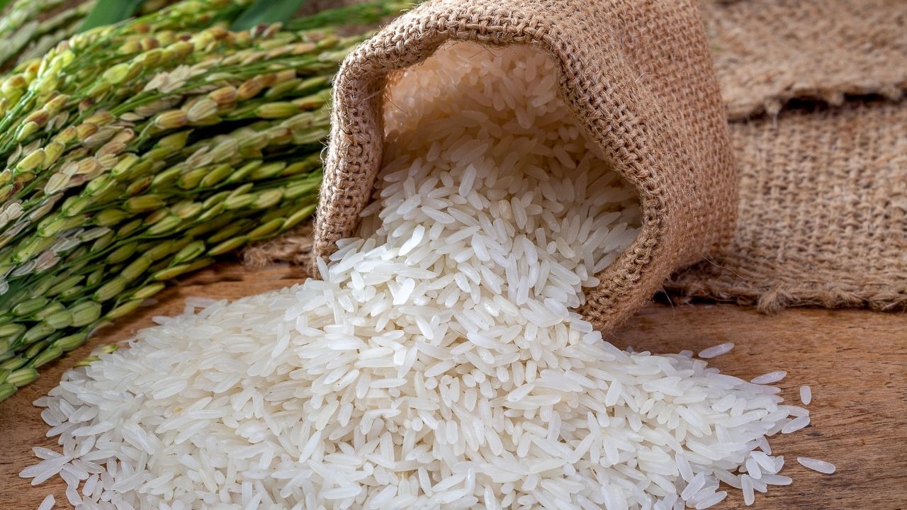 Government Offers Broken Rice At 2100 Rupees Per Quintal Under Omss Scheme For July To September 2026