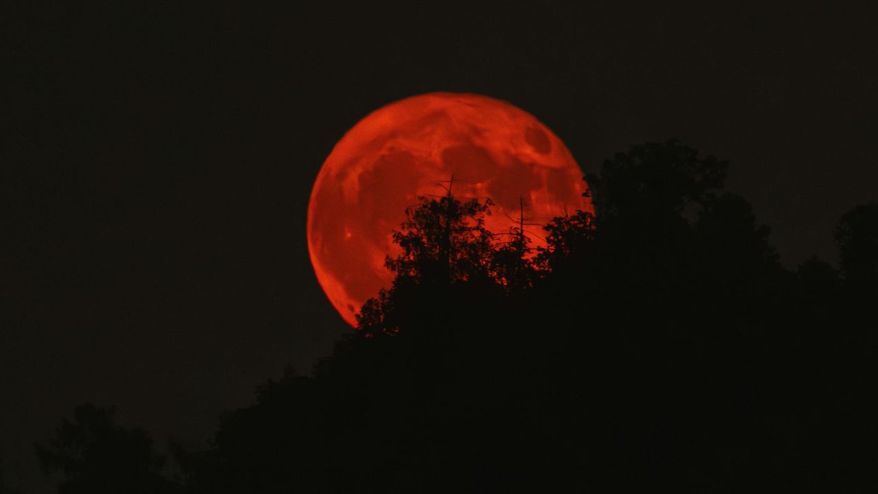 सुबह 9:42 बजे ग्रहण अपने चरम पर पहुंचेगा. इस दौरान पृथ्वी की गहरी छाया चंद्रमा की सतह के करीब 96.2% हिस्से को ढक लेगी. यही वजह है कि यह ग्रहण लगभग पूर्ण चंद्र ग्रहण जैसा दिखाई दे सकता है.
सुबह 9:42 बजे ग्रहण अपने चरम पर पहुंचेगा. इस दौरान पृथ्वी की गहरी छाया चंद्रमा की सतह के करीब 96.2% हिस्से को ढक लेगी. यही वजह है कि यह ग्रहण लगभग पूर्ण चंद्र ग्रहण जैसा दिखाई दे सकता है.